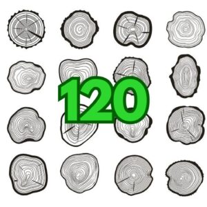 120 Tree Cross Sections  Laser cut file